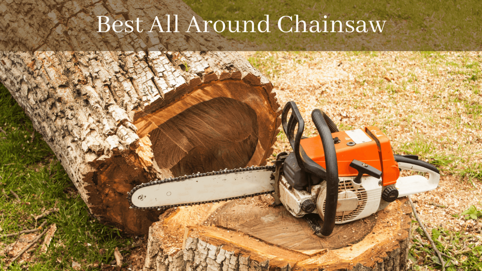 Best All Around Chainsaw In 2023 Reviews By Expert