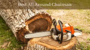 Best All Around Chainsaw