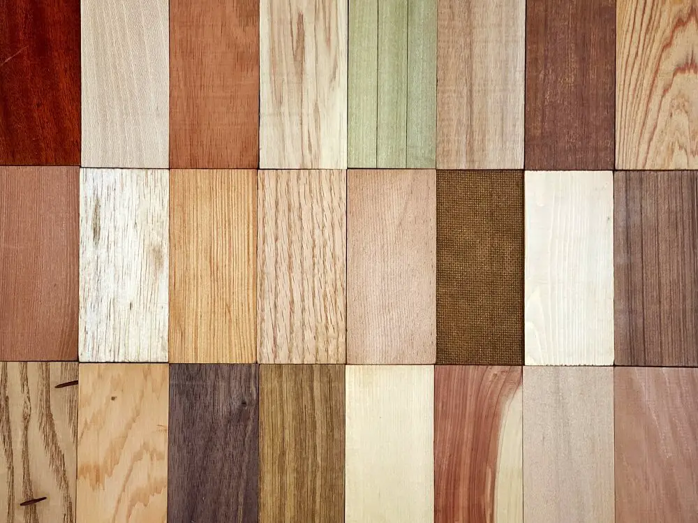 Choosing the Right Type of Wood for Beginners
